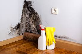 Best Dehumidification Services in Lyman, SC